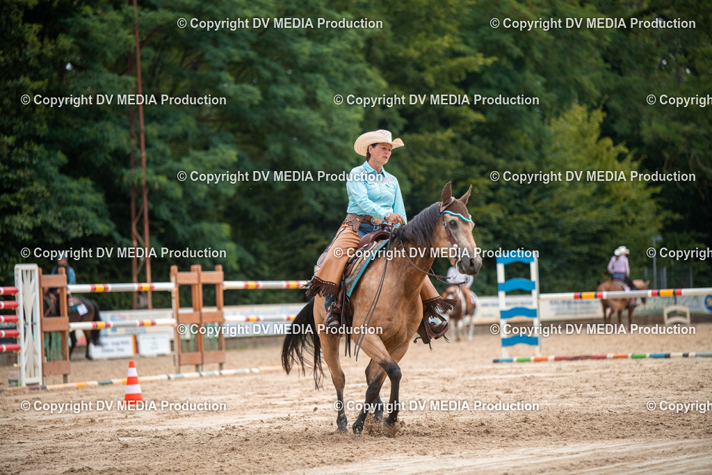 ZS2_8400 | dv-media-shop - Realisiert mit Pictrs.com