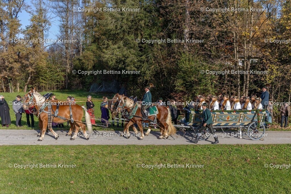 LBT24-306 | foto-bettina-krinner - Realisiert mit Pictrs.com