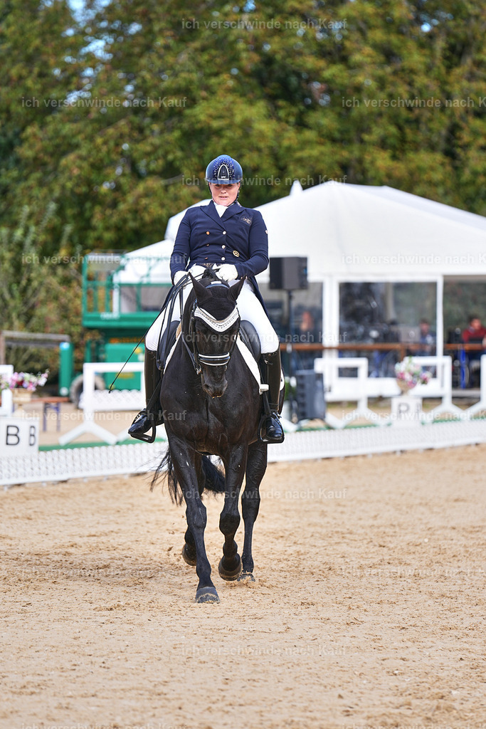 6-127-AMATUER-DRESSUR S_  -Marixx-3678 | working equitationturnier fotograf videograf stoibphotography marixx film working equitation deutschland reitsport turnierfotografie eventfotografie equestrian events
