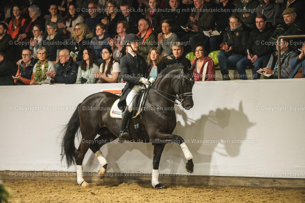 20240302_Hengstvorstellung_Marbach_TOMsPiC_1559-2 | equistock