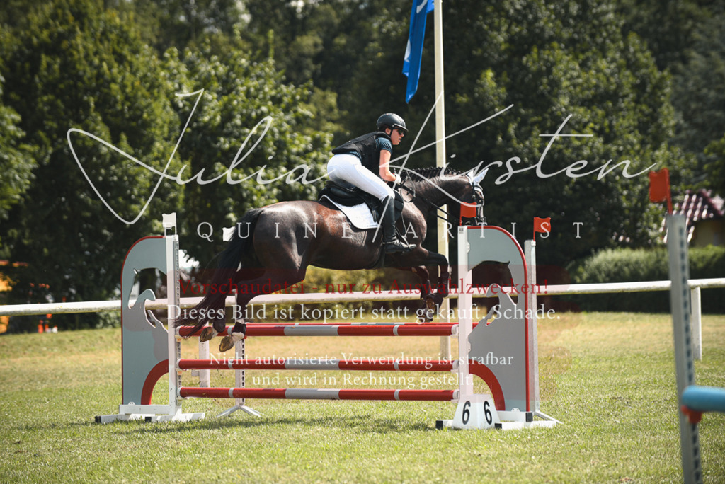 DSC_6725 | Pferde- und Turnierfotografie in Westsachsen. Pferdeportraits, Auftragszeichnungen und intuitive Kunst.