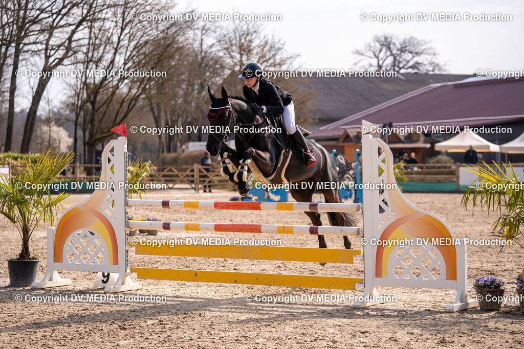 Kranichstein Tag 2-1482 | dv-media-shop - Realisiert mit Pictrs.com