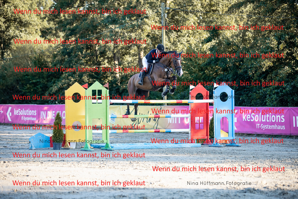 BK1A8898 | Turnierbilder Turnierfotos Nina Hüffmann Turnierfotografie Pferdefotografie Tierzeichnung Haustierzeichnung Pferdezeichnung Hundezeichnung Videograf  - Realisiert mit Pictrs.com