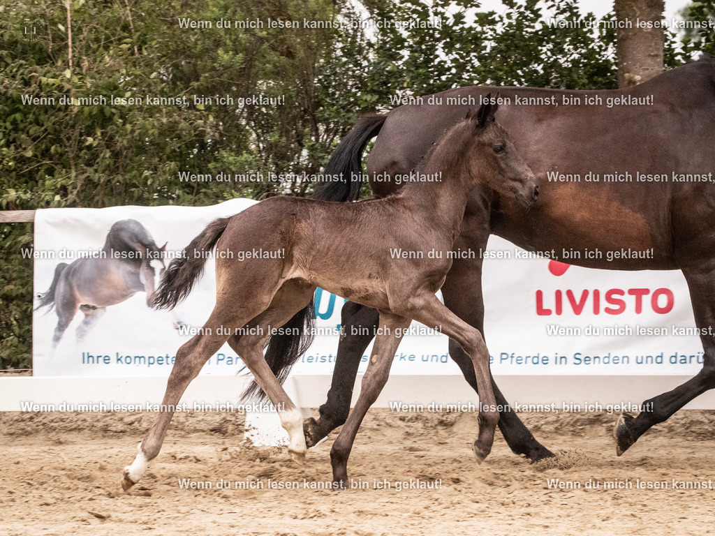 A10I5392 | photographylinaismer - Realisiert mit Pictrs.com