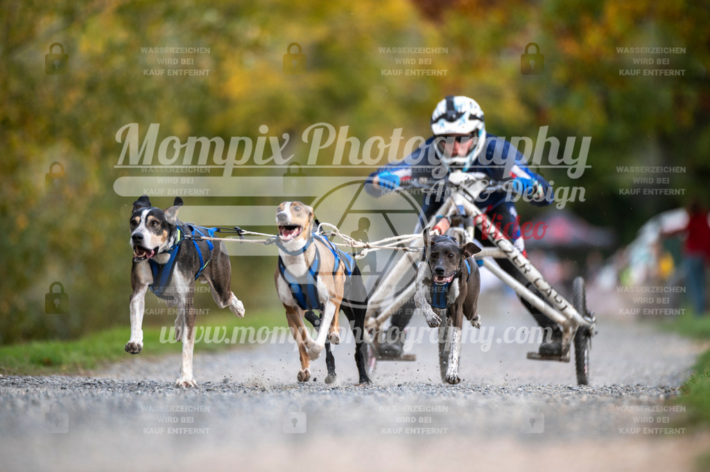 TSB_2023_E2_Kart-7 | PayLife