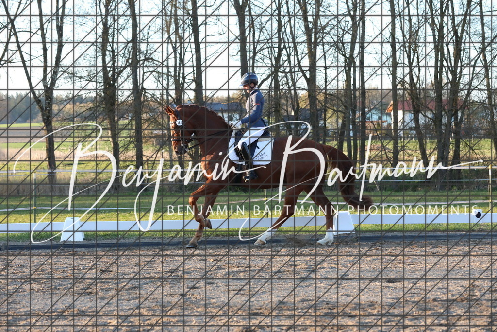 AZ2A7192 | Benjamin Bartmann Photomoments