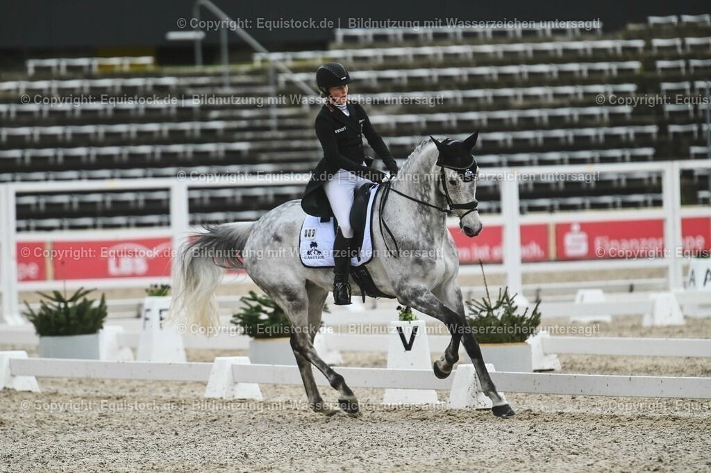 20230512_CCI4_Dressur_0309 | equistock