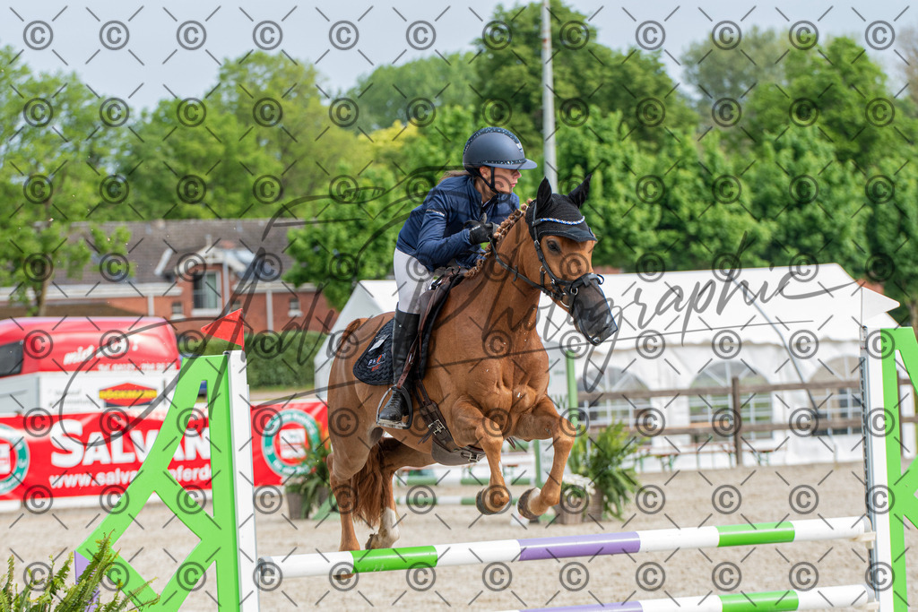 KPT_7954 | andre_photographic