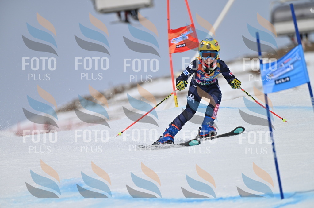 BGV_4500 | holidayphoto