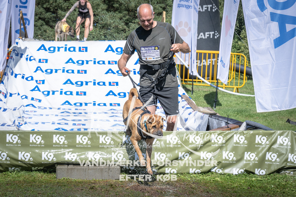 1456_ZZ96533 | kk-dogfotos