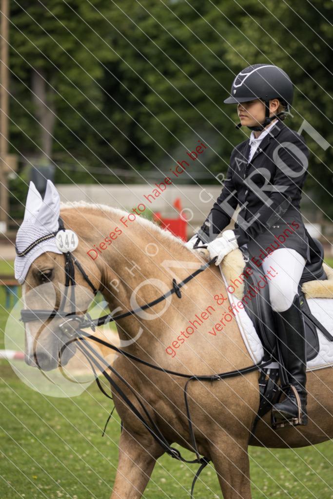 IMG_1629 | Sport-, Event- und Tierfotos in Profiqualität. Einfach auswählen, bestellen und herunterladen. Dein Moment – perfekt festgehalten.
