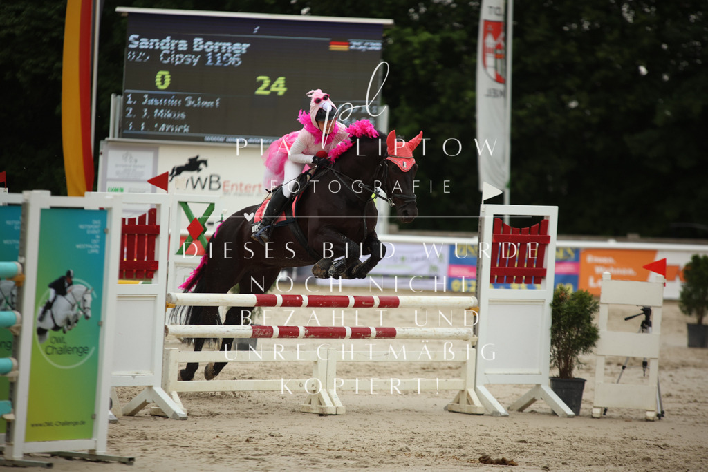 IMGM8762 | pl-fotografie