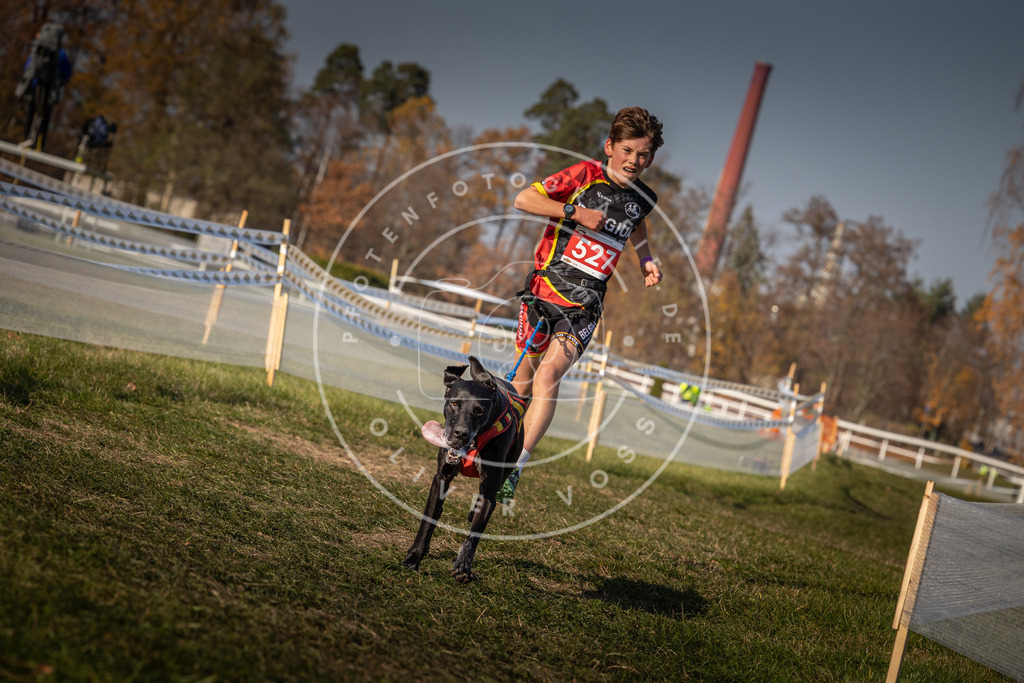 CaniXpix_0L8A8744 | Hundefotografie, Tierfotograf, Pfotenfotografie, Fotoshooting Hund, Hunde Portrait, Hundesport, Hundeportraits, Heideshooting, Hunde, Sportfotograf, Hundefotograf, Turnierhundsport, THS,  - Realisiert mit Pictrs.com