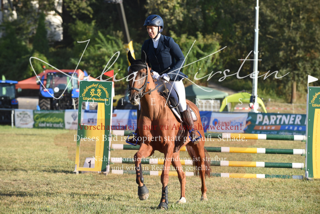 DSC_4898 | Pferde- und Turnierfotografie in Westsachsen. Pferdeportraits, Auftragszeichnungen und intuitive Kunst.