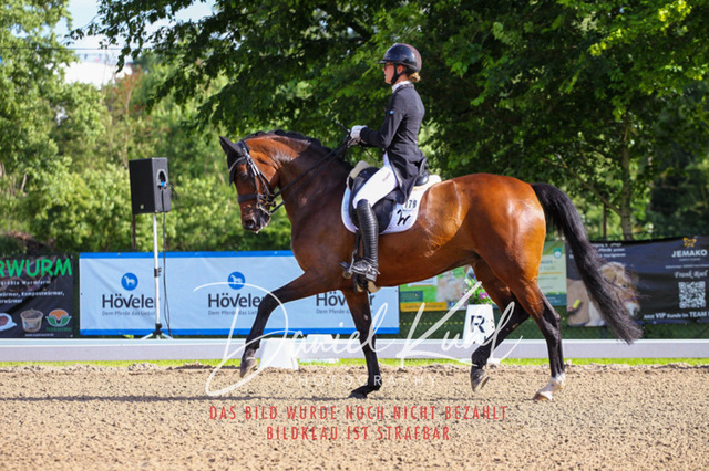 DKP41569 | Deine Turnierfotos vom Reitturnier online kaufen: Dressur, Springen & Siegerehrung. Professionelle Pferdefotografie aus dem Rheinland – als Download & Print.Alternative: Turnierfotograf für den Pferdesport: Finde deine Fotos von Dressur- und Springturnier
