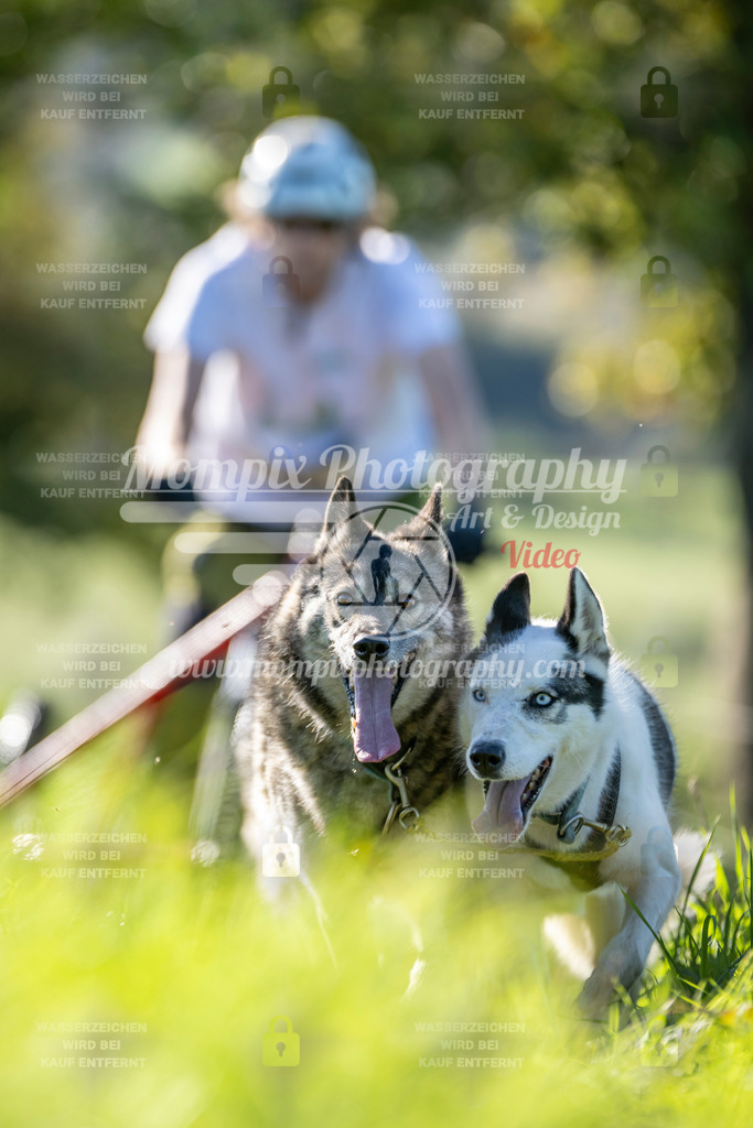 MompixPhotography_20TSB_E3_Kart-16 | PayLife