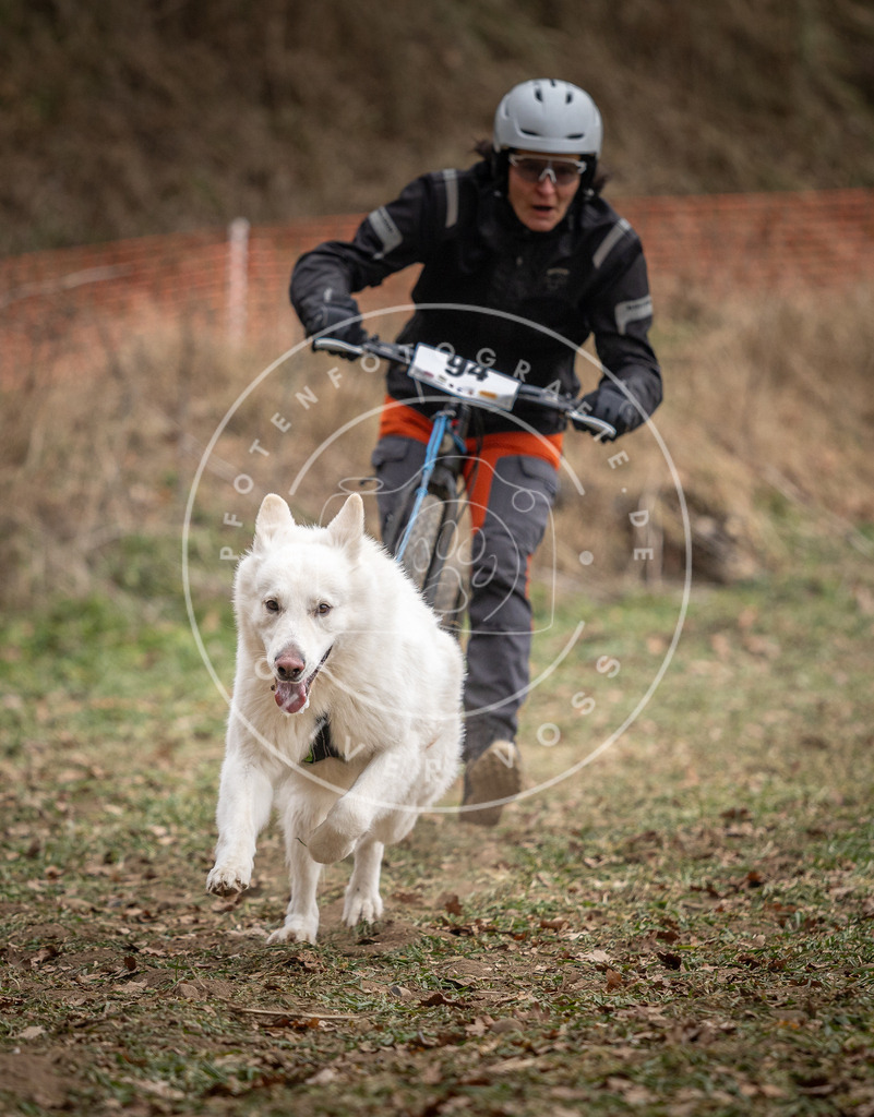 Pfotenfotografie_DV3A6892 | Hundefotografie, Tierfotograf, Pfotenfotografie, Fotoshooting Hund, Hunde Portrait, Hundesport, Hundeportraits, Heideshooting, Hunde, Sportfotograf, Hundefotograf, Turnierhundsport, THS,  - Realisiert mit Pictrs.com