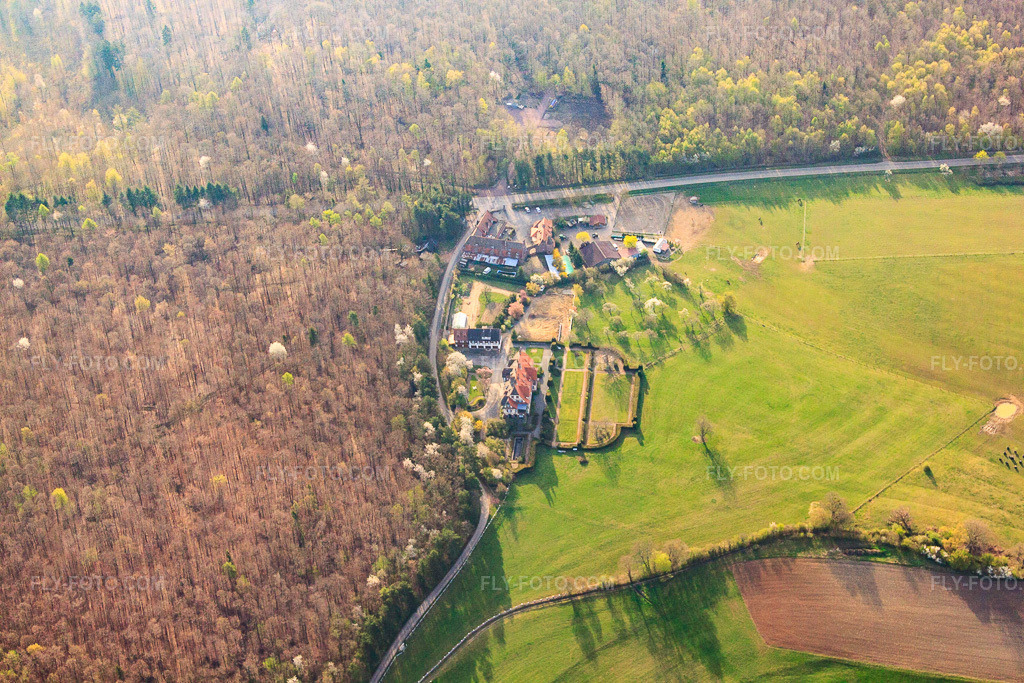 Aerial view: Ferme Mellon and Villa Le Riesack in Niederbronn-les-Bains in the state Bas-Rhin, France. – Photo: IMG_63711.jpg taken on 03/30/2014 by Werner Riehm/FLY-FOTO.com – Resolution of the original: 4752 x 3168 px – Ferme Mellon - Restaurant et chambres d'hôtes – Gite de groupe en Alsace. Fetes de famille. Villa le Riesack. Capacit\xc3\xa9: 30 \xc3\xa0 50 Personnes