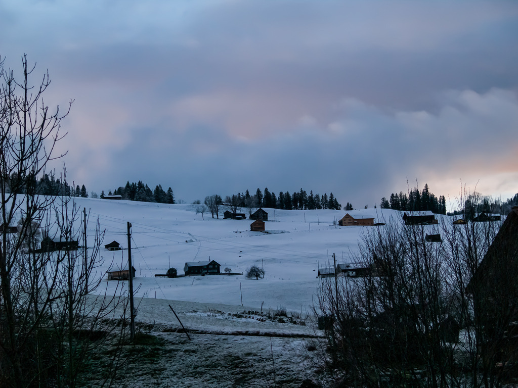 PSX_20230115_214430 | OLYMPUS DIGITAL CAMERA - Realisiert mit Pictrs.com