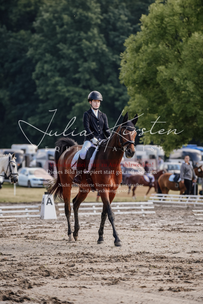 DSC_7942 | Pferde- und Turnierfotografie in Westsachsen. Pferdeportraits, Auftragszeichnungen und intuitive Kunst.