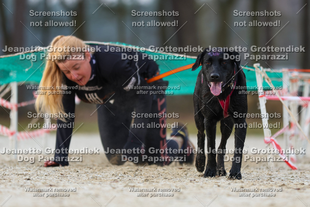 Dog Paparazzi - Strongdog North Mrz26-3676 | Dog Paparazzi Jeanette Grottendiek Fotografie & Videografie - Realisiert mit Pictrs.com
