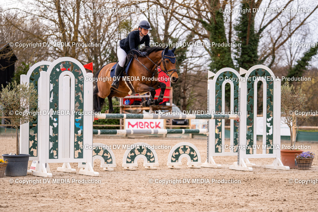 Kranichstein Tag 2-423 | dv-media-shop - Realisiert mit Pictrs.com