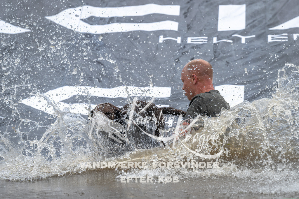 1509_ZZ91909 | kk-dogfotos