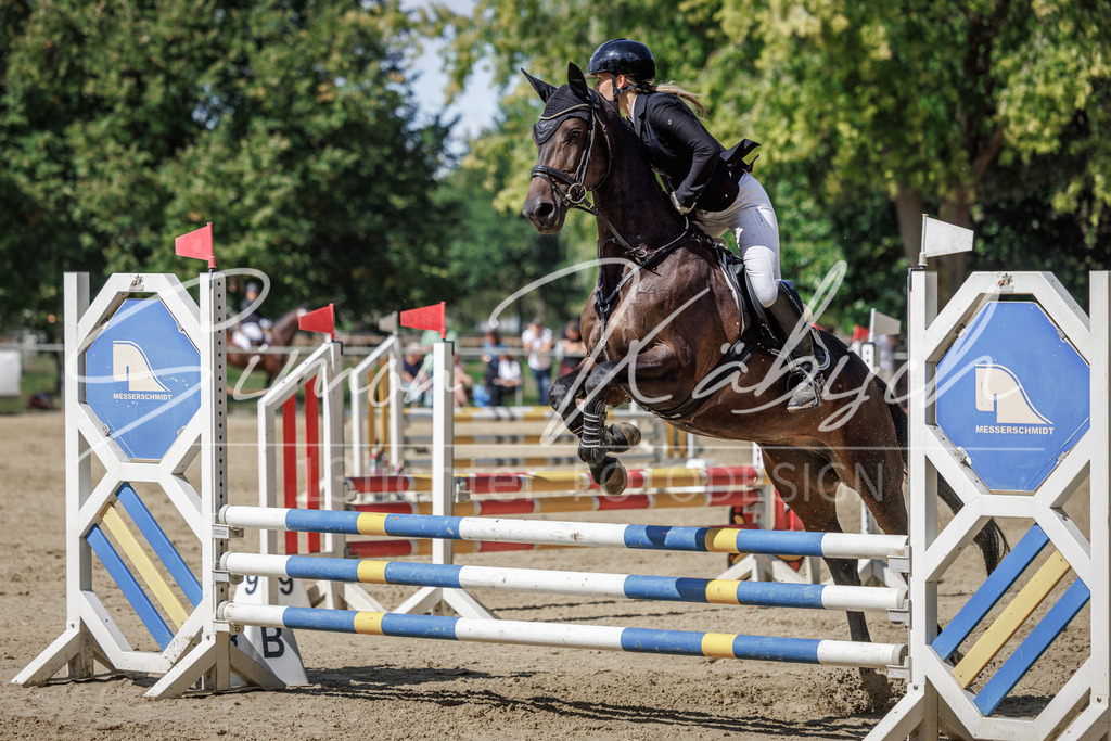 20260905-_3LI8703 | Tierfotografie Pferde, Hunde, Katzen, Haustiere.
Turnierfotografie Reitturniere, Reiten, Springreiten, Dressur in Hanau, dem Main-Kinzig-Kreis und dem Rhein-Main- Gebiet um Frankfurt