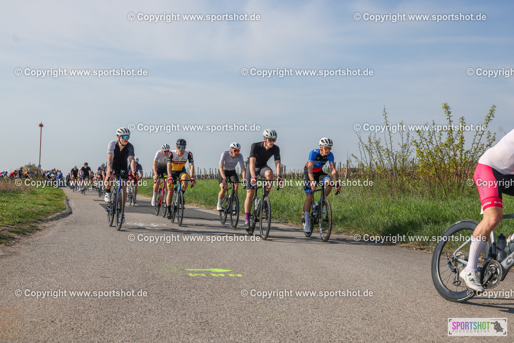 007A8762 | Neusiedlersee Radmarathon #neusiedlerseeradmarathon #neusiedlersee #nrm26 #yourpictrs #sportshot_your_pictrs