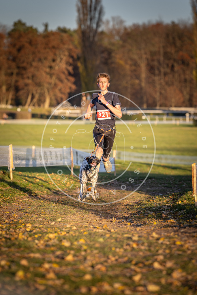 CaniXpix_DV3A4932 | Hundefotografie, Tierfotograf, Pfotenfotografie, Fotoshooting Hund, Hunde Portrait, Hundesport, Hundeportraits, Heideshooting, Hunde, Sportfotograf, Hundefotograf, Turnierhundsport, THS,  - Realisiert mit Pictrs.com