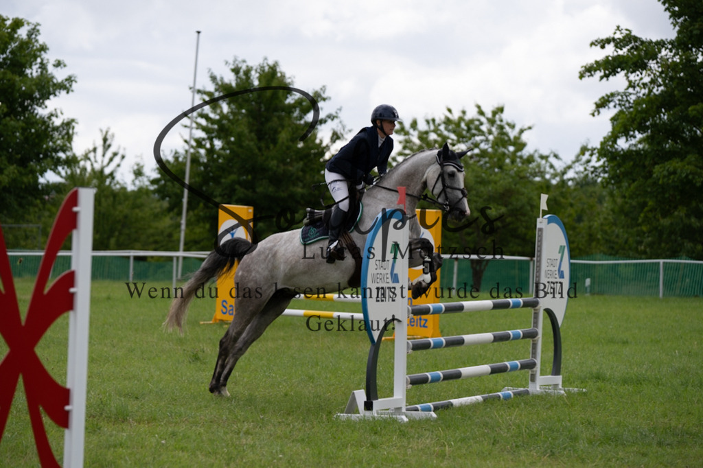 A7V04025 | Pferdefotograf