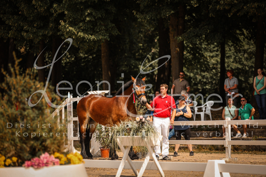 1.Sa00063 | Leoni Ertmer Photography - Realisiert mit Pictrs.com