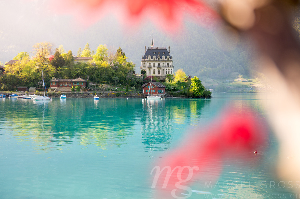view of Schloss Seeburg, Iseltwald in turquoise Lake Brienz | Die ideale Geschenkidee für Naturliebhaber. Naturbilder von Marcel Gross Photography für ihr Zuhause in den verschiedensten Formaten und Materialien. - Realisiert mit Pictrs.com
