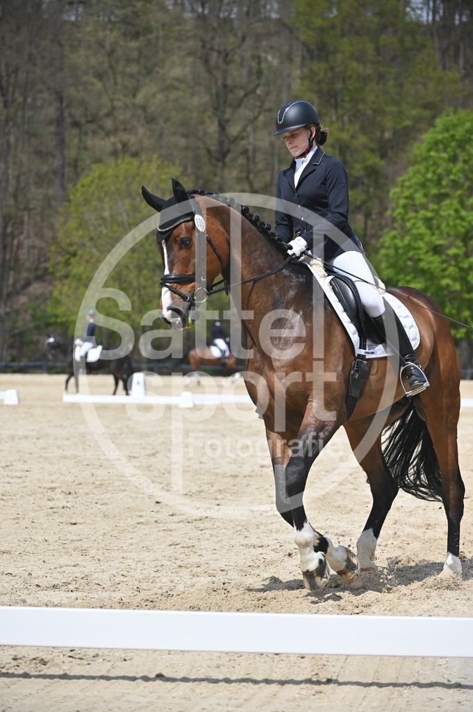 DSC_2380 | sattelsport - Realisiert mit Pictrs.com