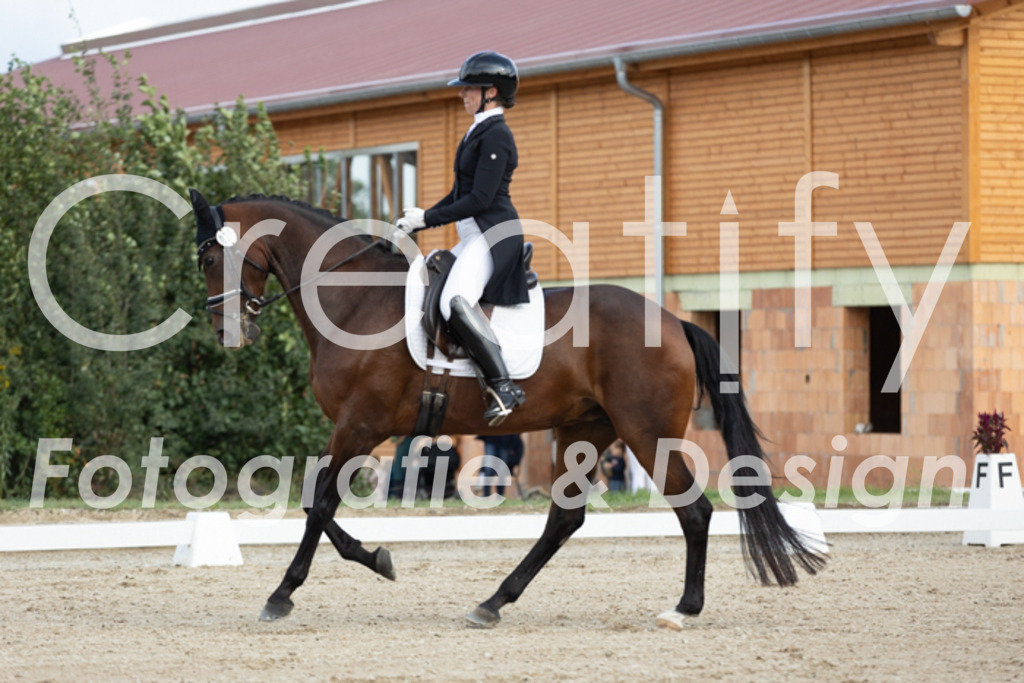 IMG_7136 | Creatify Fotografie