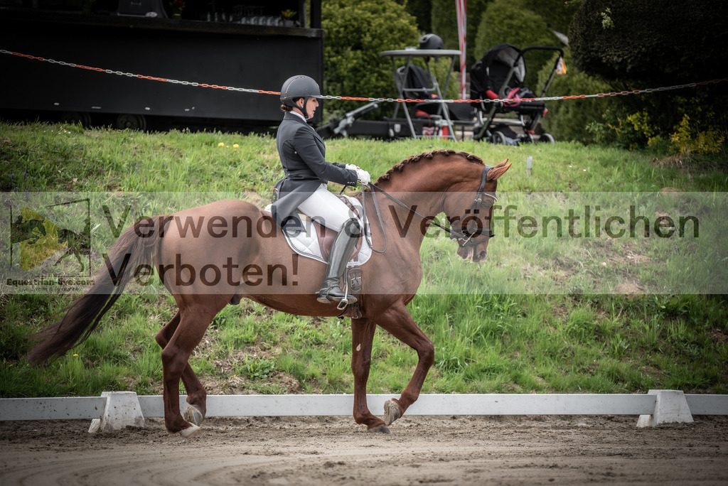 DSC_2557 | equestrian-live-com
