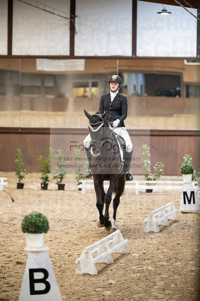 Hallenreittunier Voxtrup 2023 | Entdecke hochwertige Reitturnierfotos von Foto Oger. Professionell, emotional und authentisch – jetzt Lieblingsmomente im Shop bestellen.Deutschlandweite Turnierfotografie. - Realisiert mit Pictrs.com