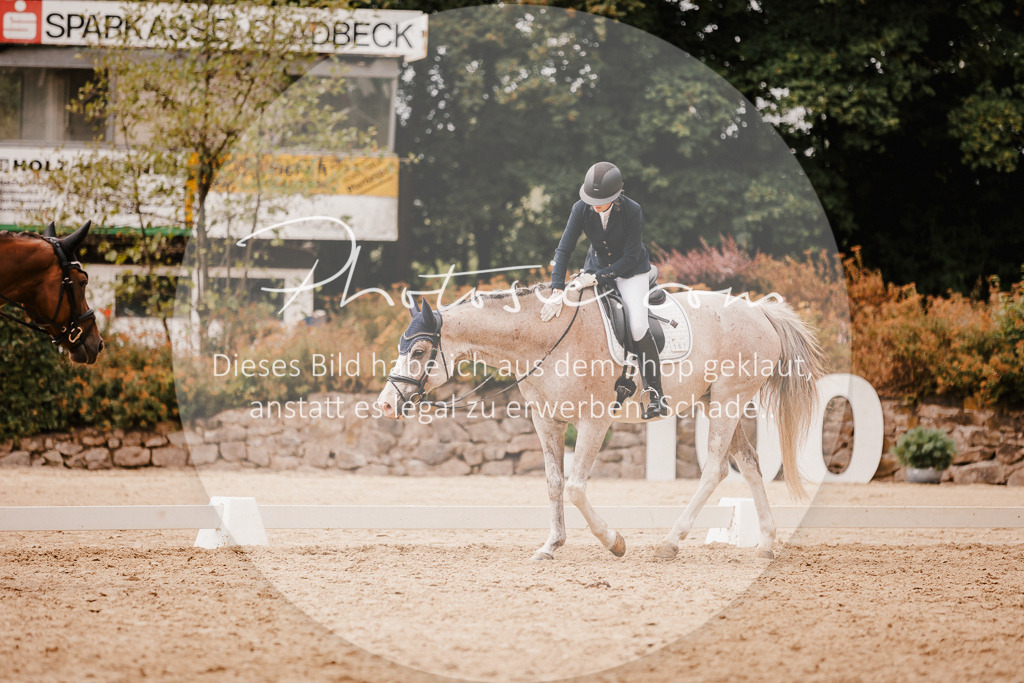 3I6A6188 | Stimmungsvolle Portraits und Reitsportfotografie im Ruhrgebiet und im Münsterland.

Pferdefotografie, Hundefotografie, Tierfotografie, Reportagen, Portraits von Tier und Mensch, Turnierfotografie in Bochum, Recklinghausen, Marl, Haltern am See, Dülmen.. - Realisiert mit Pictrs.com