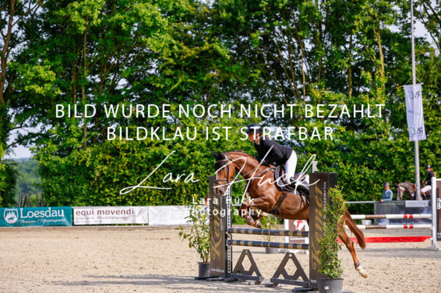 _62_3584 | larahueckfotografie