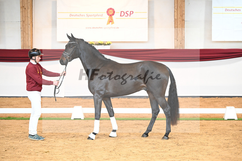 Kat-Nr. 40 v. Lord Europe_Bergmann_66221858 | hf-fotografie - Realisiert mit Pictrs.com