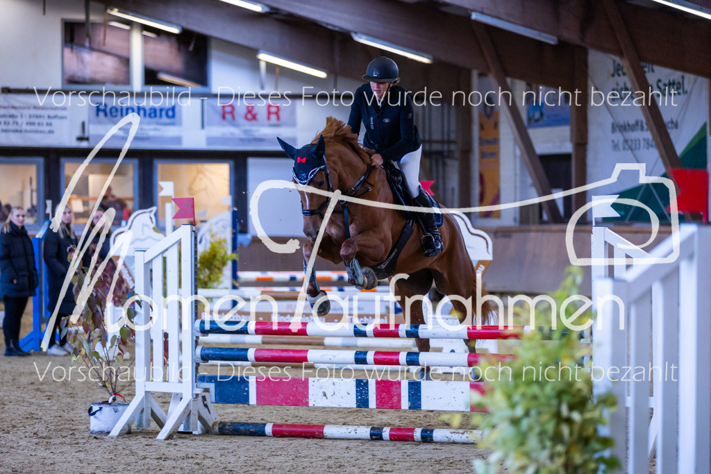 Sth-Gewöhnung-034 | MomenTaufnahmen Pferdesportfotos