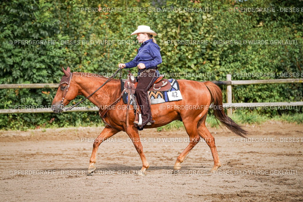 DSC00278 | Pferdegrafie