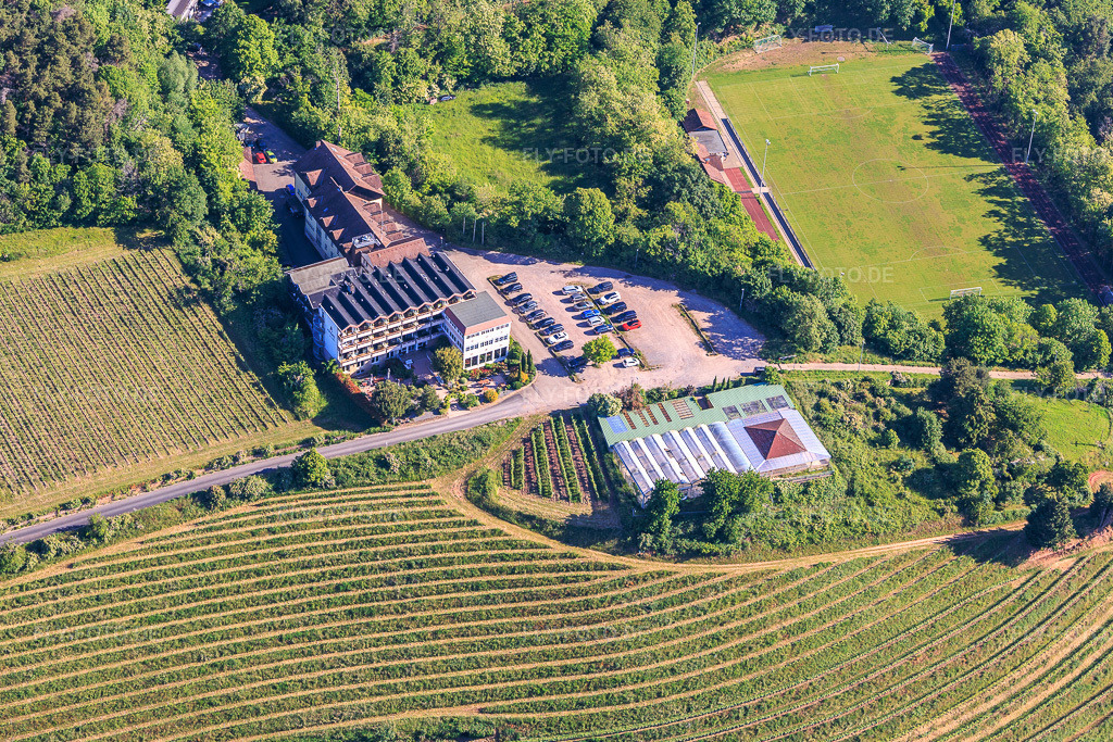 Luftbild: Arens Hotel 327m NN im Ortsteil SaintMartin in Sankt Martin im Bundesland Rheinland-Pfalz in Deutschland.Foto: IMG_156732.jpg vom 23.05.2026 durch Werner Riehm/FLY-FOTO.deAuflösung des Originals: 5473 x 3649 pxArens 327