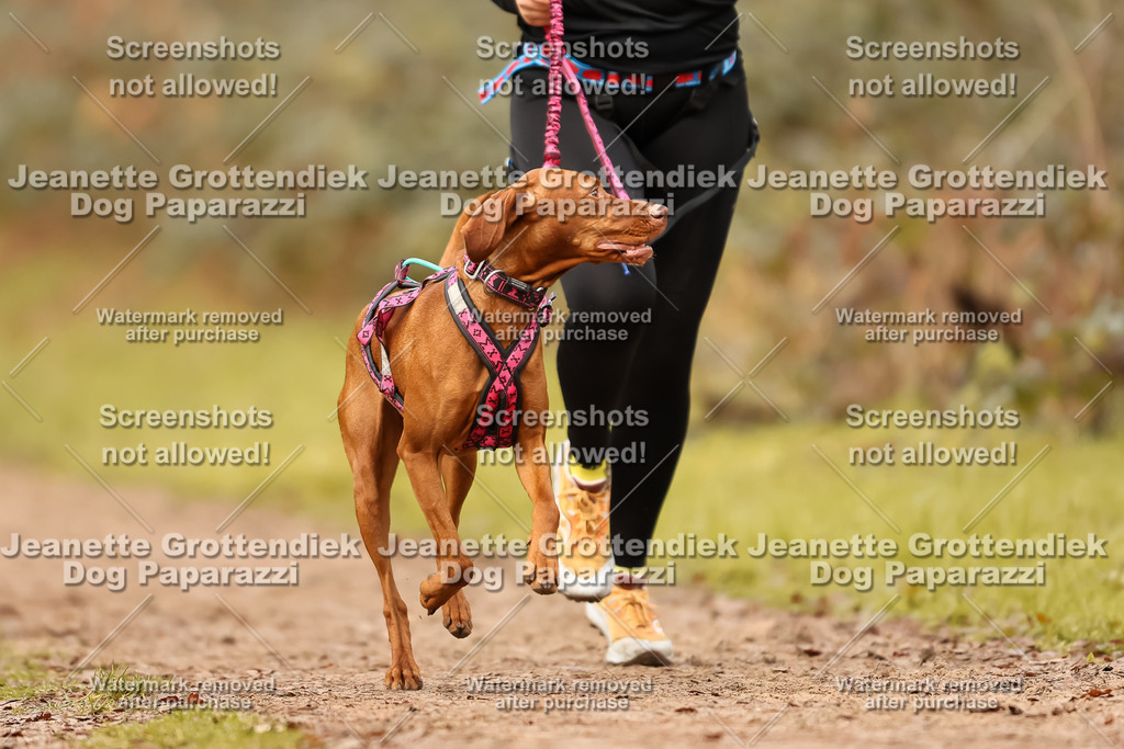 Dog Paparazzi - Speedhunter Mannheim  2025-289 | Dog Paparazzi Jeanette Grottendiek Fotografie & Videografie
