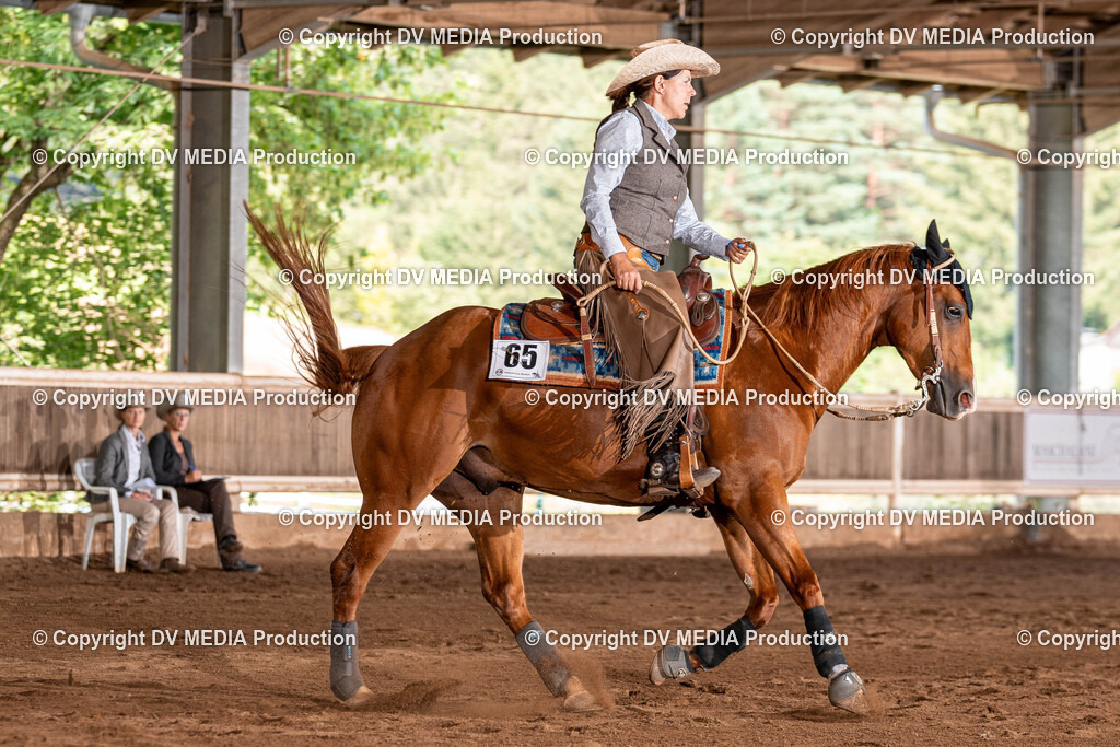 Erbach Tag 3-1356 | dv-media-shop - Realisiert mit Pictrs.com