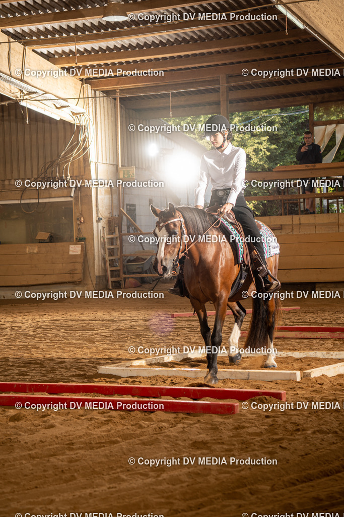 NID02608 | dv-media-shop - Realisiert mit Pictrs.com