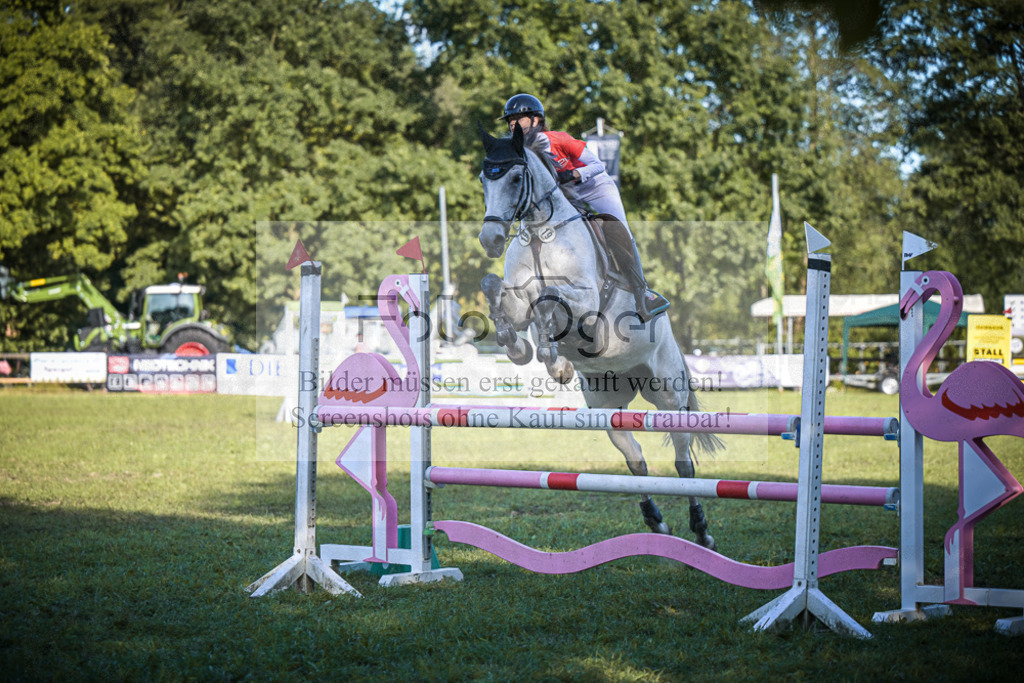 DOS_0407 | Entdecke hochwertige Reitturnierfotos von Foto Oger. Professionell, emotional und authentisch – jetzt Lieblingsmomente im Shop bestellen.Deutschlandweite Turnierfotografie. - Realisiert mit Pictrs.com