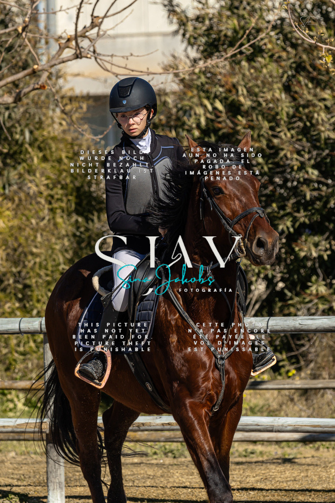 IMG_8464 | s-jay-photography - Realisiert mit Pictrs.com