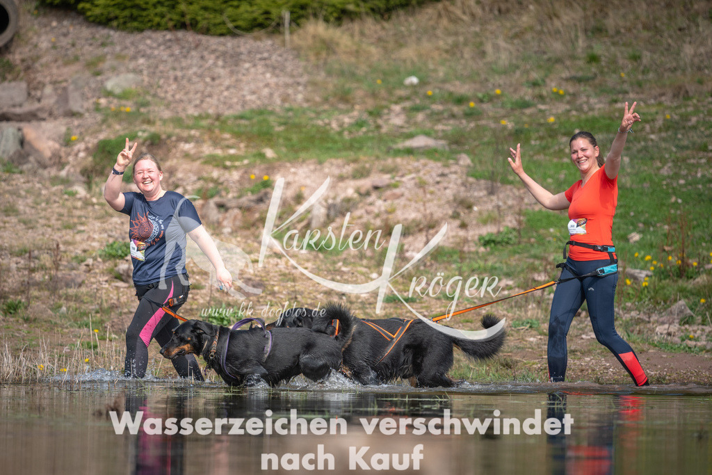 1111DZ6_2733 | kk-dogfotos