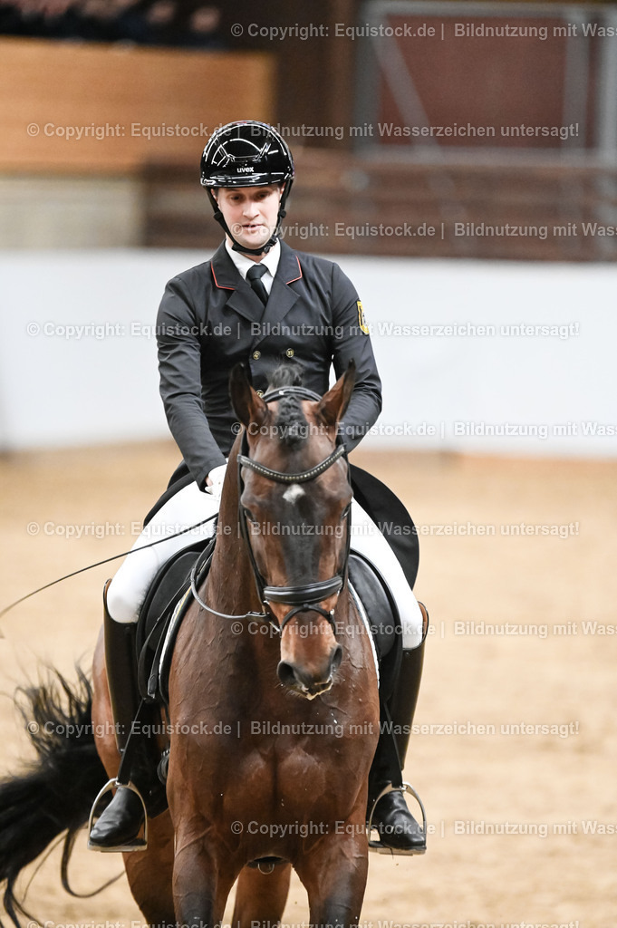 20260307_Hengstvorstellung-Marbach_0365 | equistock